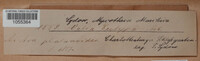 Graphis scripta image